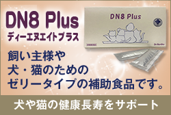 DN8 Plus　ディーエヌエイトプラス
